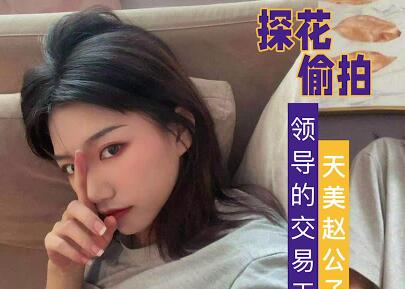 天美传媒.赵公子探花视频.自拍领导的交易工具