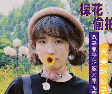 天美传媒.赵公子探花视频.大屌无套爆操双马尾学妹