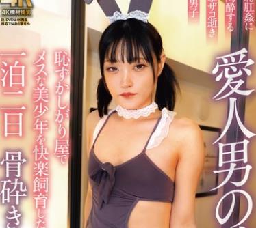 骑兵破解TIMD-011 爱人男の娘 耻ずかしがり屋でメスな美少年を快楽饲育した一泊二日 骨砕きの