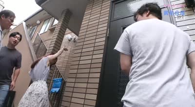 [searchlist:name]