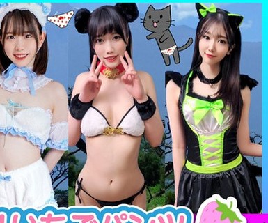 [searchlist:name]